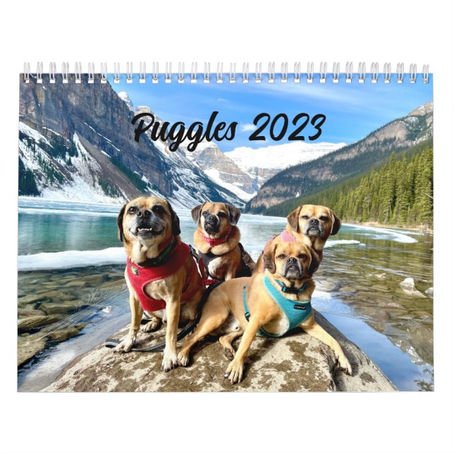 Puggle 2023 Kalender (Titelbild)