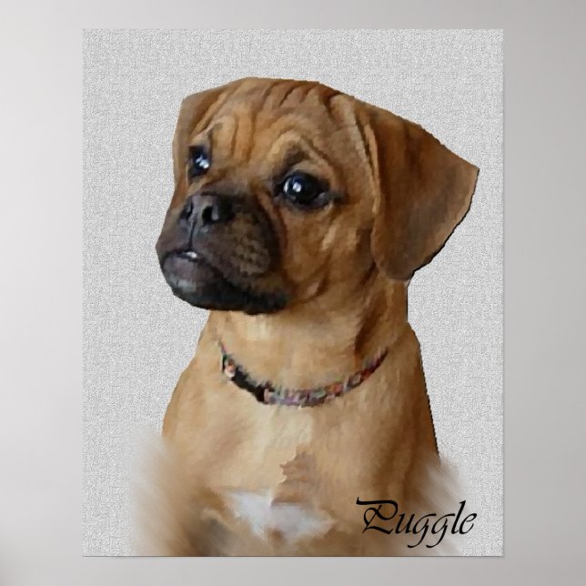 Puggle Art Prints Poster (Vorne)