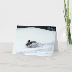 Puggle! Feiertags-Karte Feiertagskarte