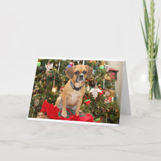 Puggle Feiertagskarte
