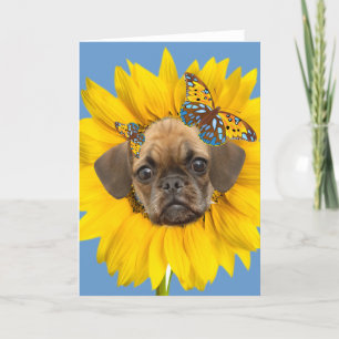 Puggle font face dans des cartes d'une marguerite