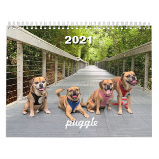 Puggle-Kalender 2021 Kalender
