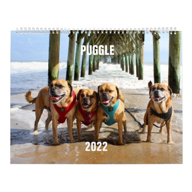 Puggle-Kalender 2022 Kalender (Titelbild)