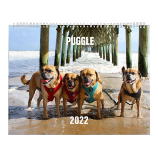 Puggle-Kalender 2022 Kalender