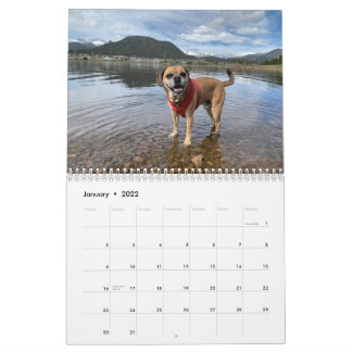 Puggle-Kalender 2022 Kalender