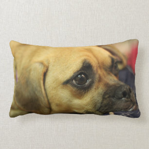 Puggle Kissen