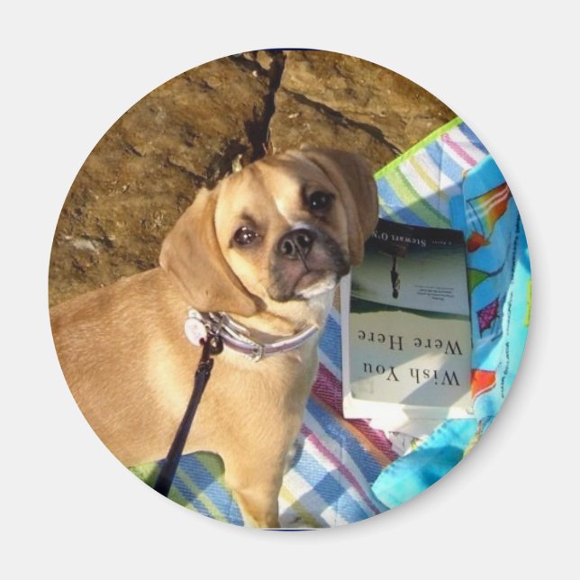 Puggle Magnet (Vorne)