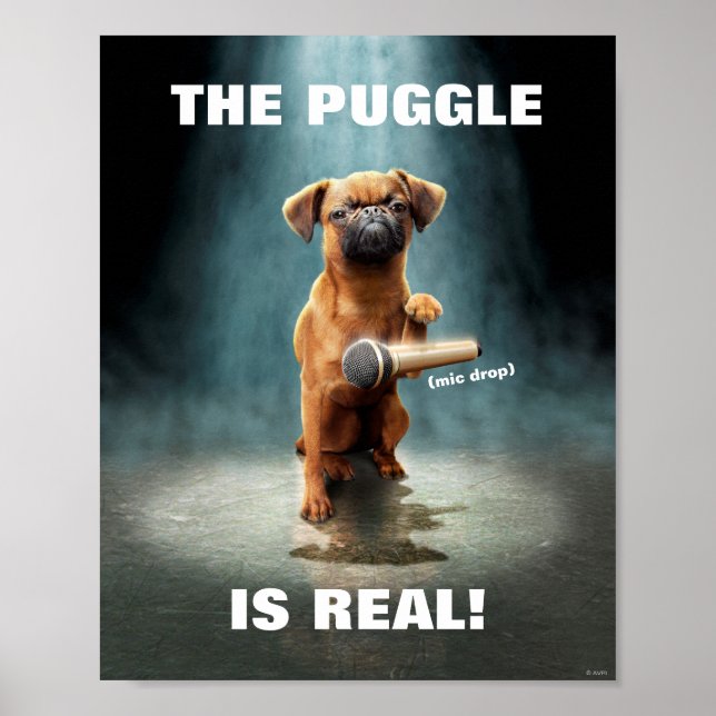 Puggle Mic Drop Poster (Vorne)