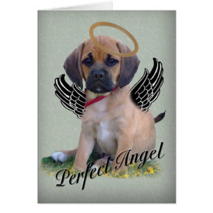 Puggle perfekte Engelkarte auf Grün