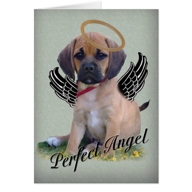 Puggle perfekte Engelkarte auf Grün (Vorne)