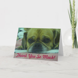 PUGGLE Vielen Dank, dass Sie so viel Grußkarte Dankeskarte