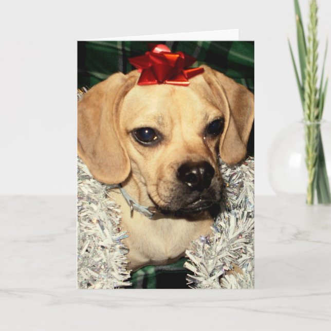 Puggle! Weihnachtskarte Feiertagskarte (Vorderseite)