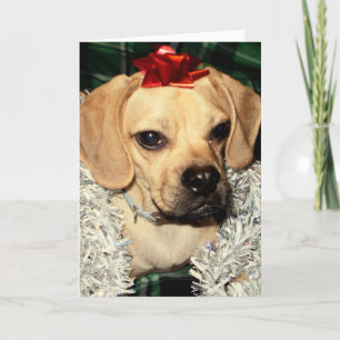 Puggle! Weihnachtskarte Feiertagskarte