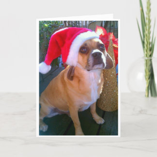 Puggle! Weihnachtskarte Feiertagskarte