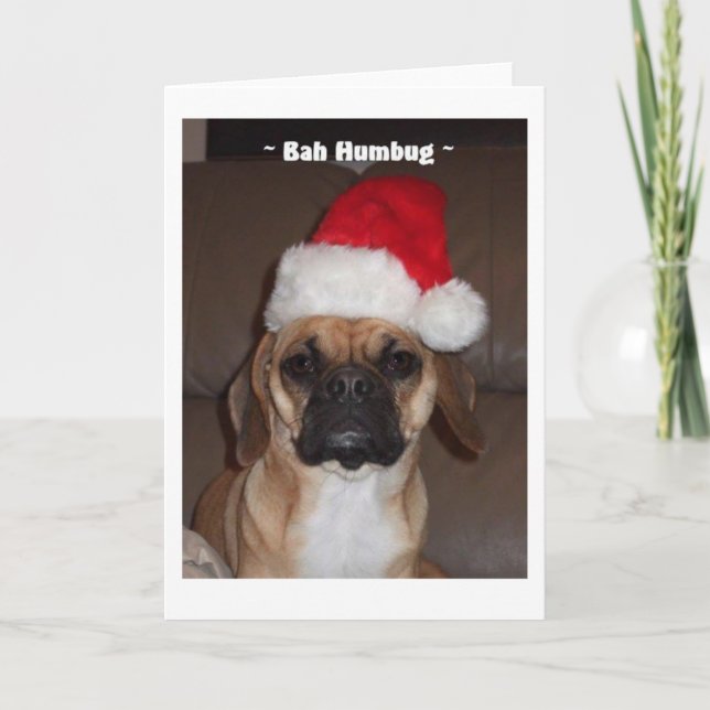 Puggle! Weihnachtskarte Feiertagskarte (Vorderseite)