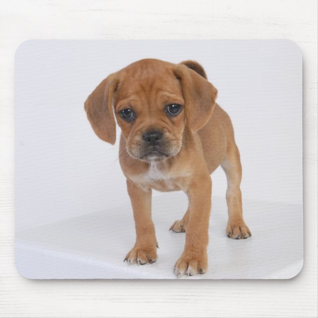 Puggle Welpen-Auflage Mousepad (Vorne)