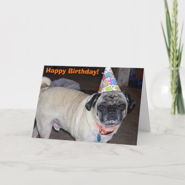 Puggy Grüße: Geburtstag Karte (Vorderseite)