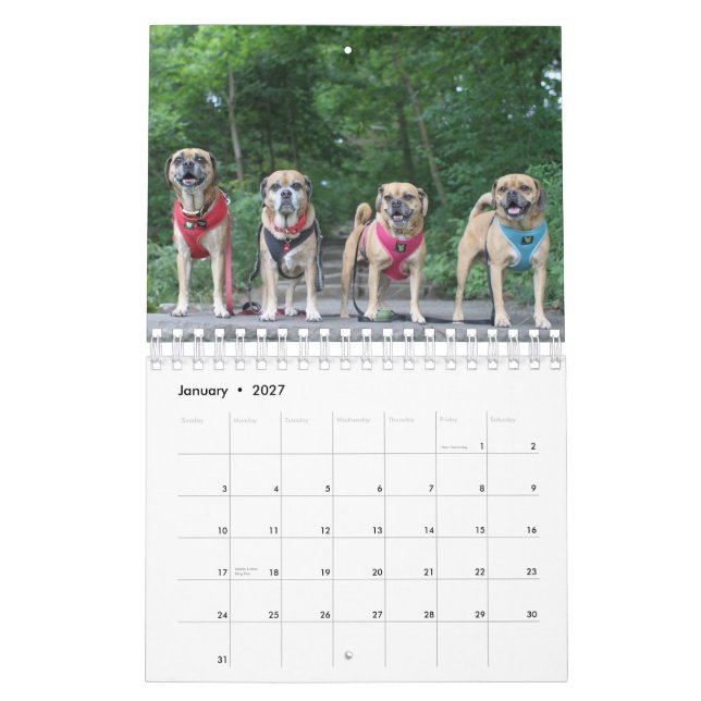 PUGLE 2020 KALENDER (Jan 2027)