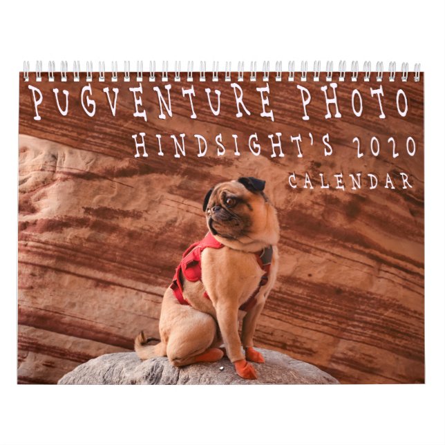 Pugventure Foto Hindsight's 2020 Calendar (Mediu) Kalender (Titelbild)