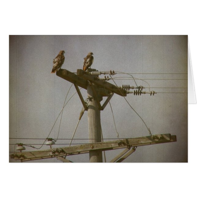 Puissance Hawk (Devant horizontal)