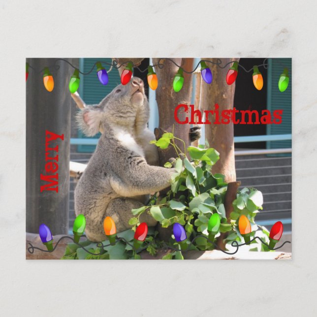 Puisse tes lumières briller. Carte postale (Devant)