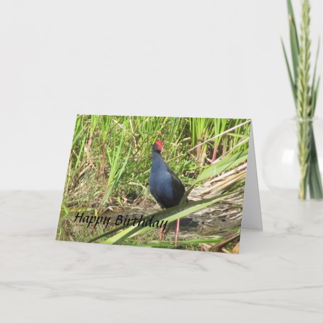 Pukeko Birthday Card Karte (Vorderseite)
