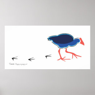 Pukeko Steps Poster/Print Poster