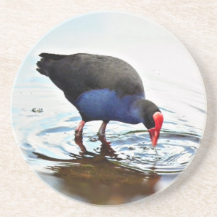 Pukeko Untersetzer