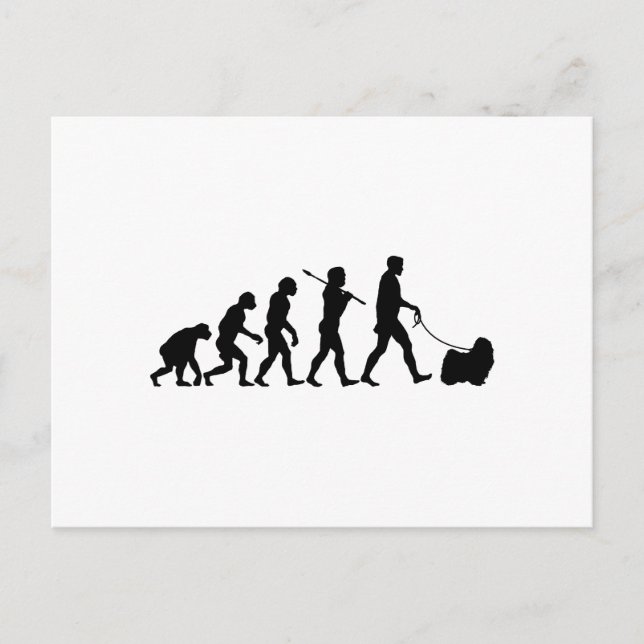 Puli Postkarte (Vorderseite)