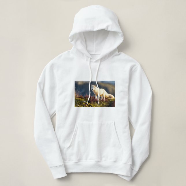 Pull À Capuche felpa (Design devant)