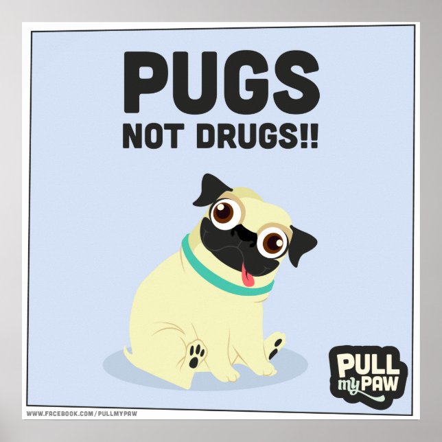 Pull My Paw - Poster 03 (Devant)