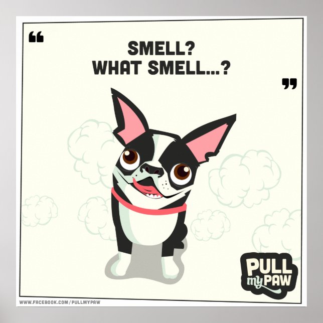 Pull My Paw - Poster 04 (Vorne)