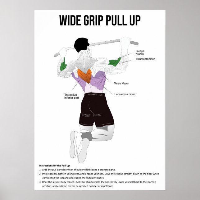 Pull-Up - Übung - Diagramm der Muskelanatomie Poster (Vorne)