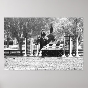 Pullover Poster