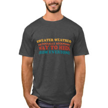 Pullover Wetter Introvert Humor Slogan