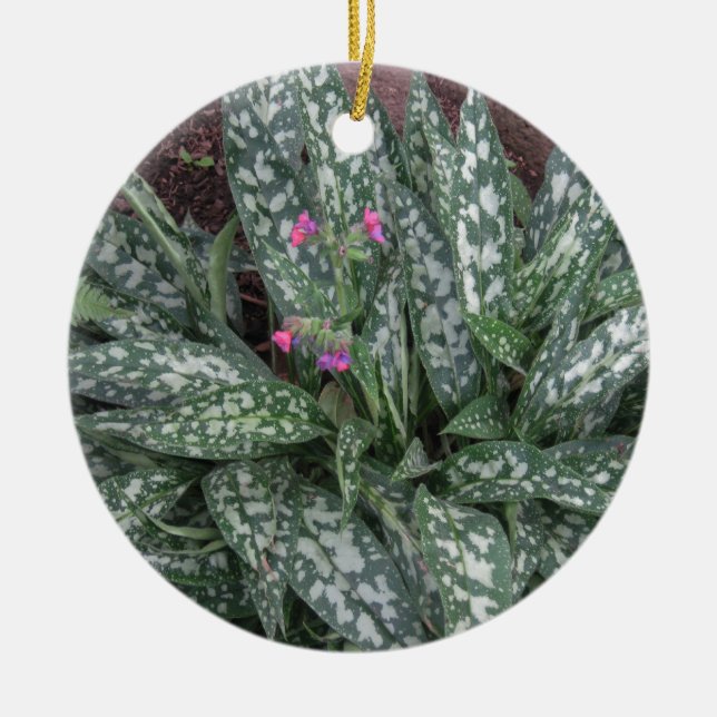 Pulmonaria - Lungwort mehrjährige Pflanze Keramik Ornament (Vorne)