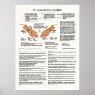 Pulsdiagnose Akupunkturdiagramm Poster
