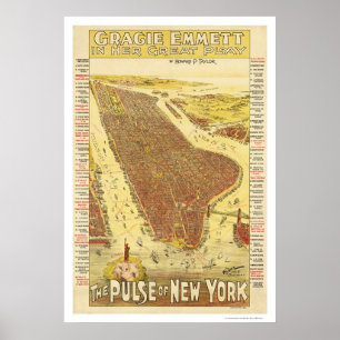 Pulse of New York Map 1891 Poster