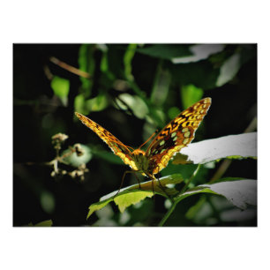 "Pulsing Joy" Fotodruck