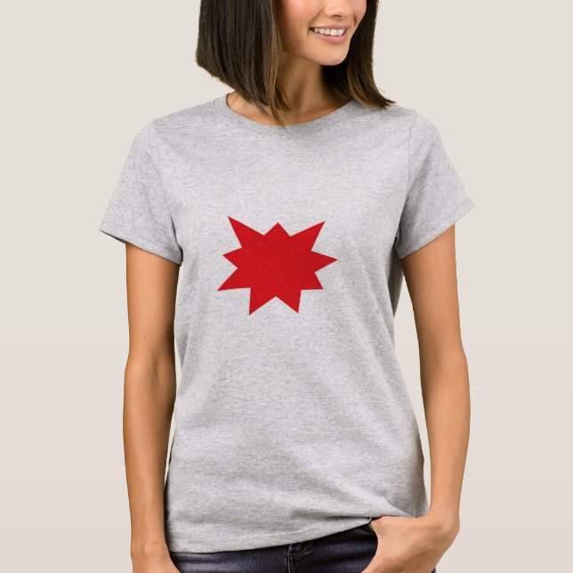 Pulver T-Shirt (Vorderseite)