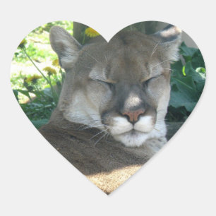 Puma-Aufkleber Herz-Aufkleber