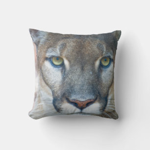 Puma, Berglöwe, Florida-Panther, Puma 2 Kissen