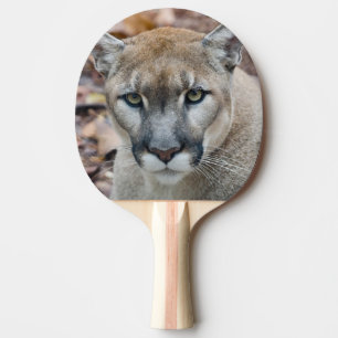 Puma, Berglöwe, Florida-Panther, Puma 2 Tischtennis Schläger
