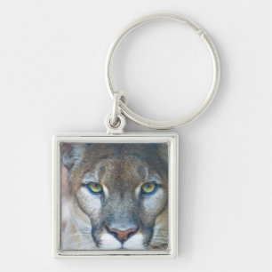 Puma, Berglöwe, Florida-Panther, Puma Schlüsselanhänger