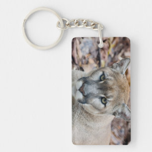 Puma, Berglöwe, Florida-Panther, Puma Schlüsselanhänger