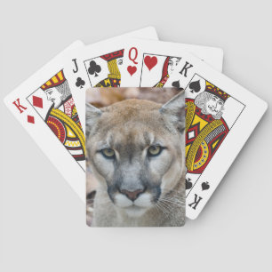 Puma, Berglöwe, Florida-Panther, Puma Spielkarten