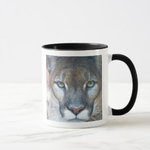 Puma, Berglöwe, Florida-Panther, Puma Tasse