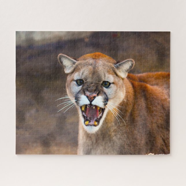 Puma Berglöwe. Puzzle (Horizontal)