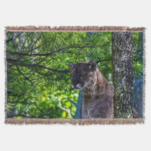 Puma-Berglöwe-u. Kiefern-Niederlassungs-wild Decke
