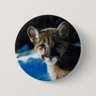 Puma CUB Button